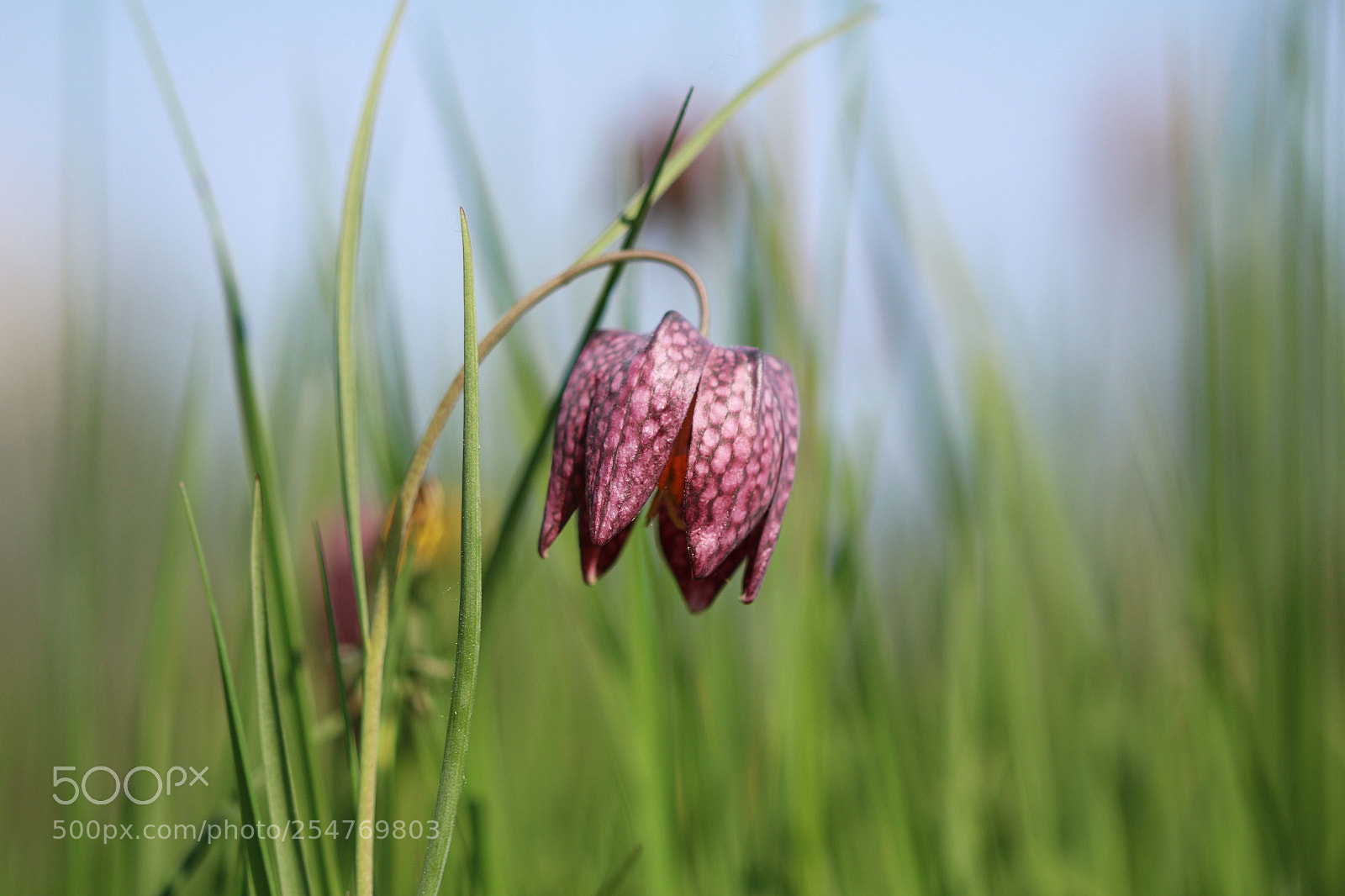 Canon EOS 70D sample photo. Untitled photography