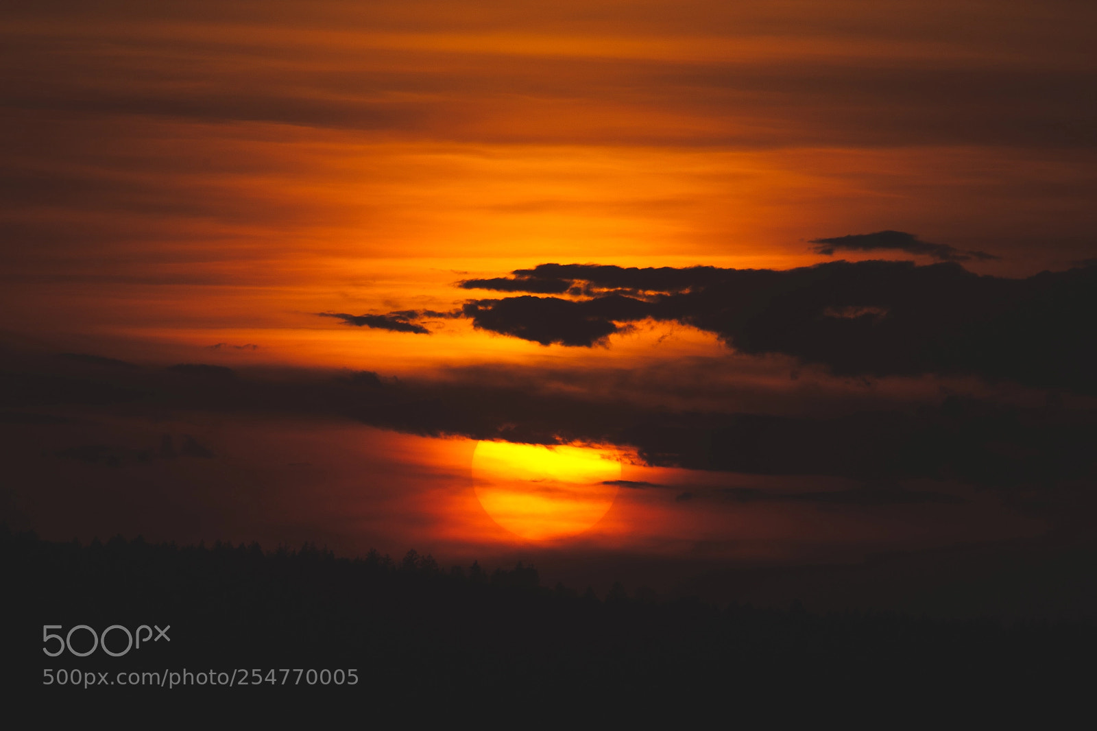 Canon EOS-1D Mark III sample photo. Sunset photography