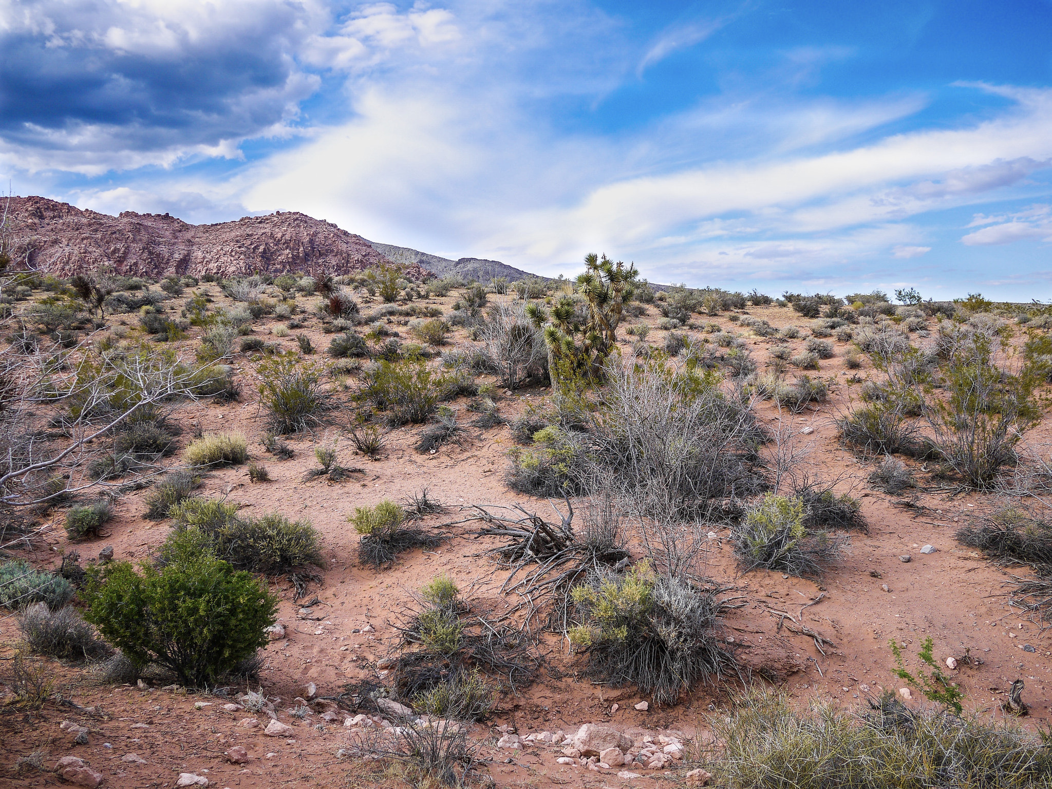 Panasonic Lumix DMC-GF2 sample photo. Red rock canyon, las vegas, nv photography