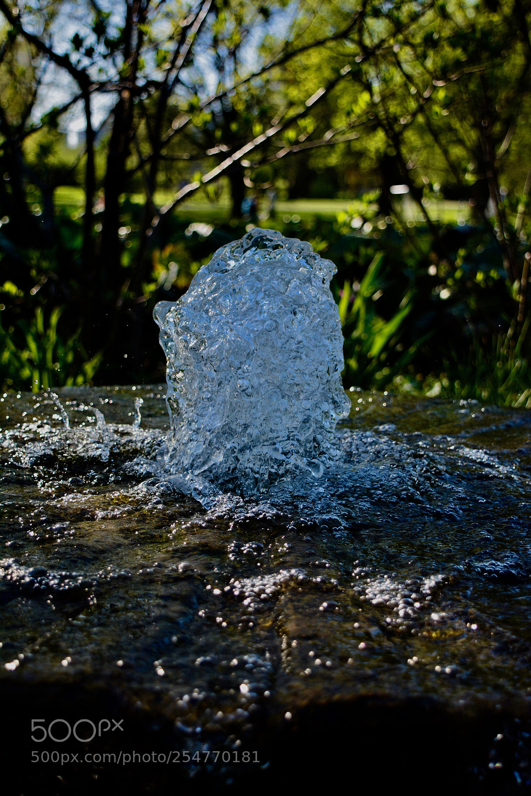 Nikon D5200 sample photo. Water fountain photography