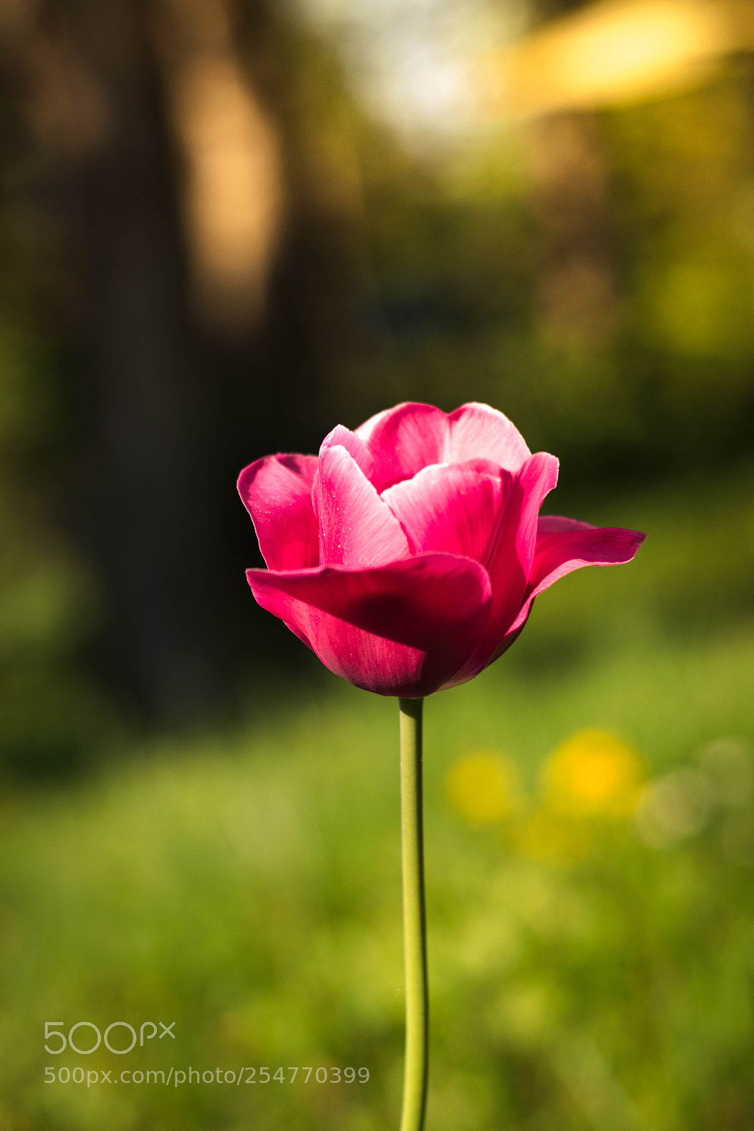 Nikon D3300 sample photo. Simply the best photography