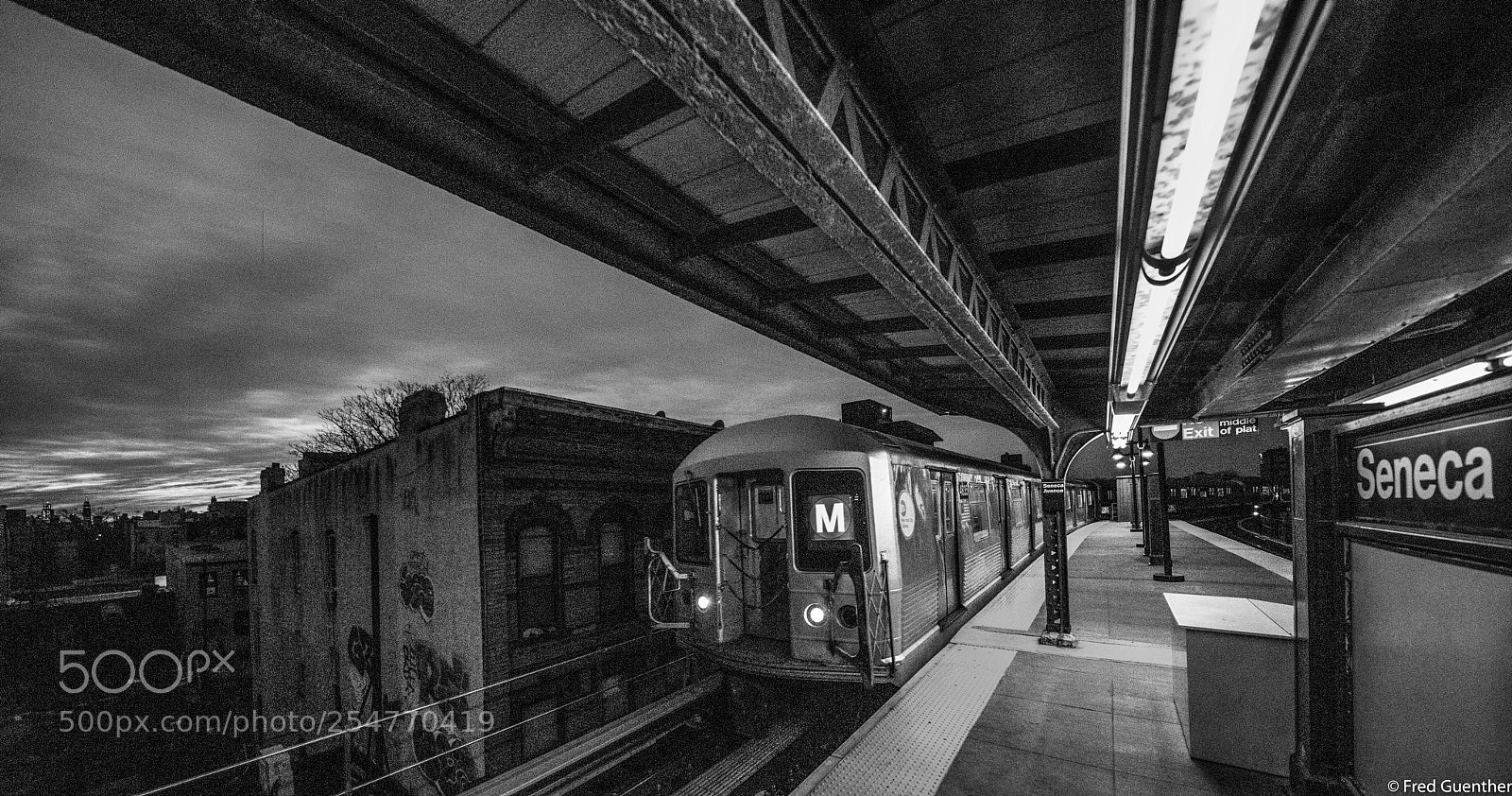Nikon D810 sample photo. M train at seneca photography