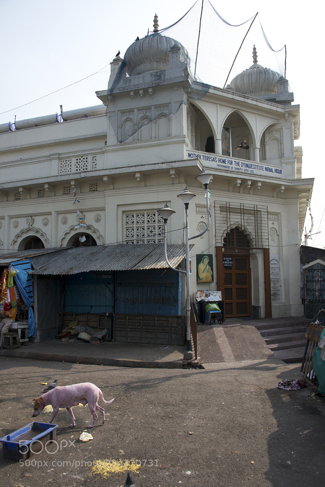 Nikon D800E sample photo. Mother teresa's home for photography