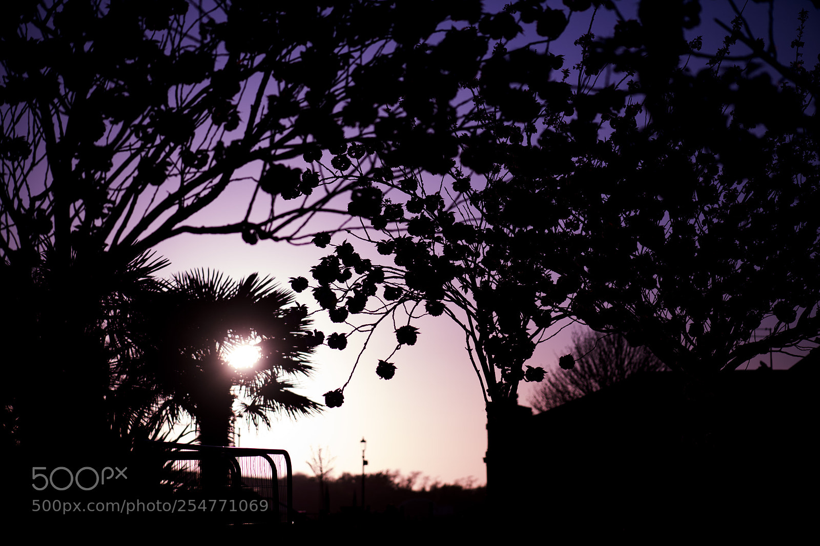 Nikon D850 sample photo. Beautiful sunset photography