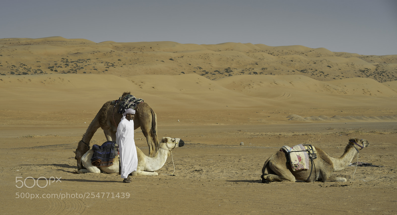 Sony a7 II sample photo. Desert ar-rab al-chali dunes photography