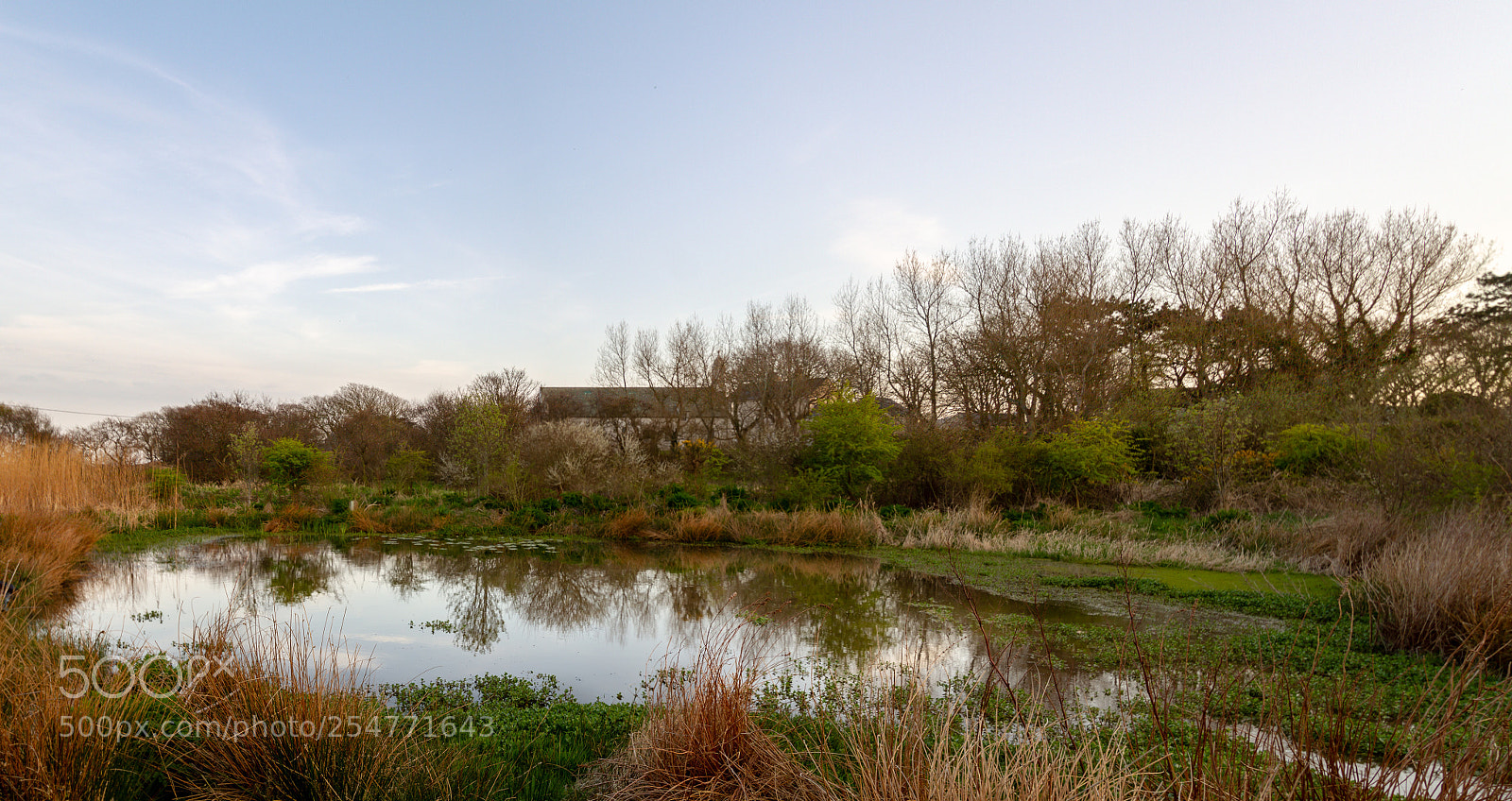 Canon EOS 7D sample photo. In golden pond  photography