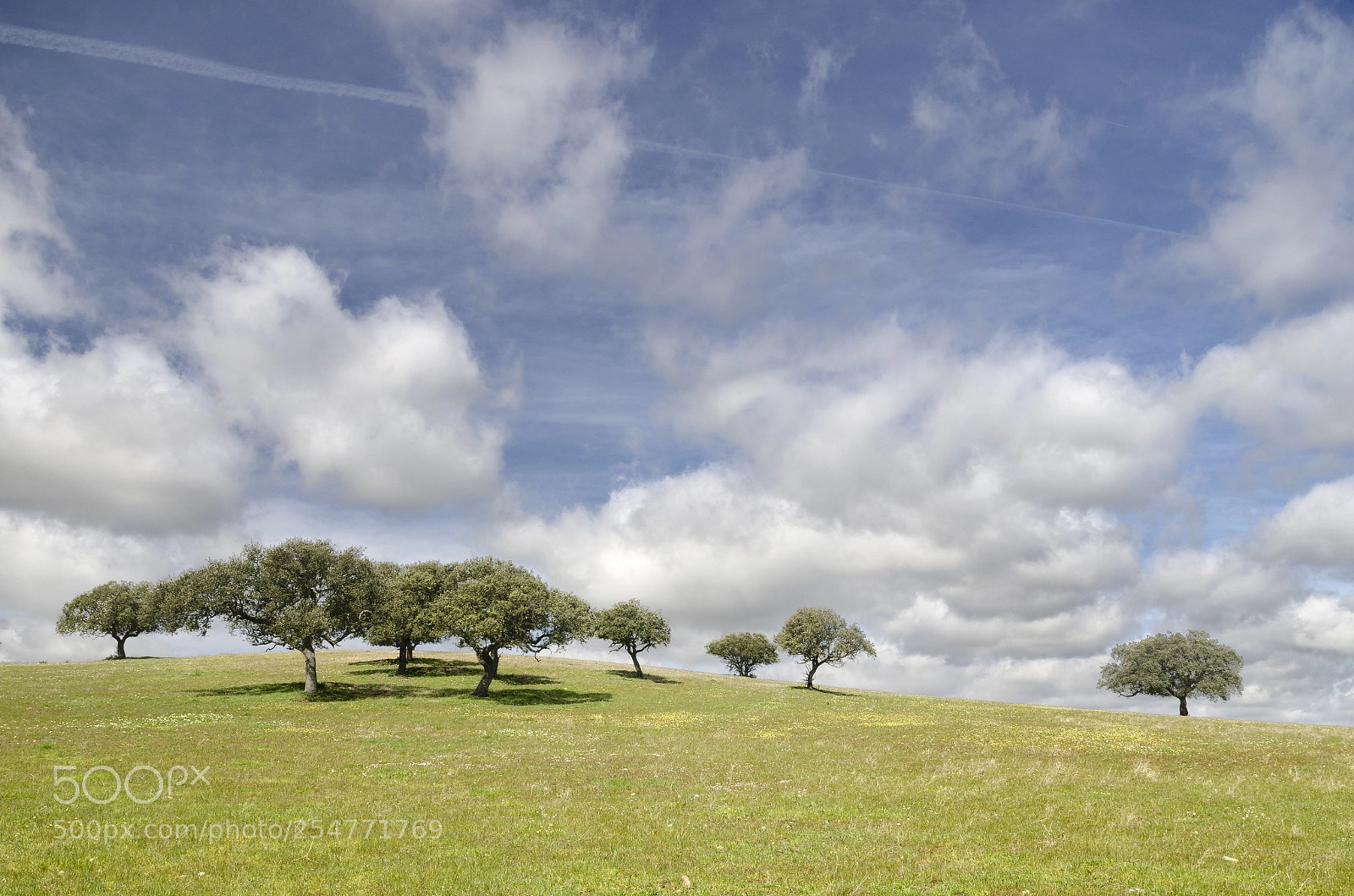 Nikon D7000 sample photo. En el cielo photography