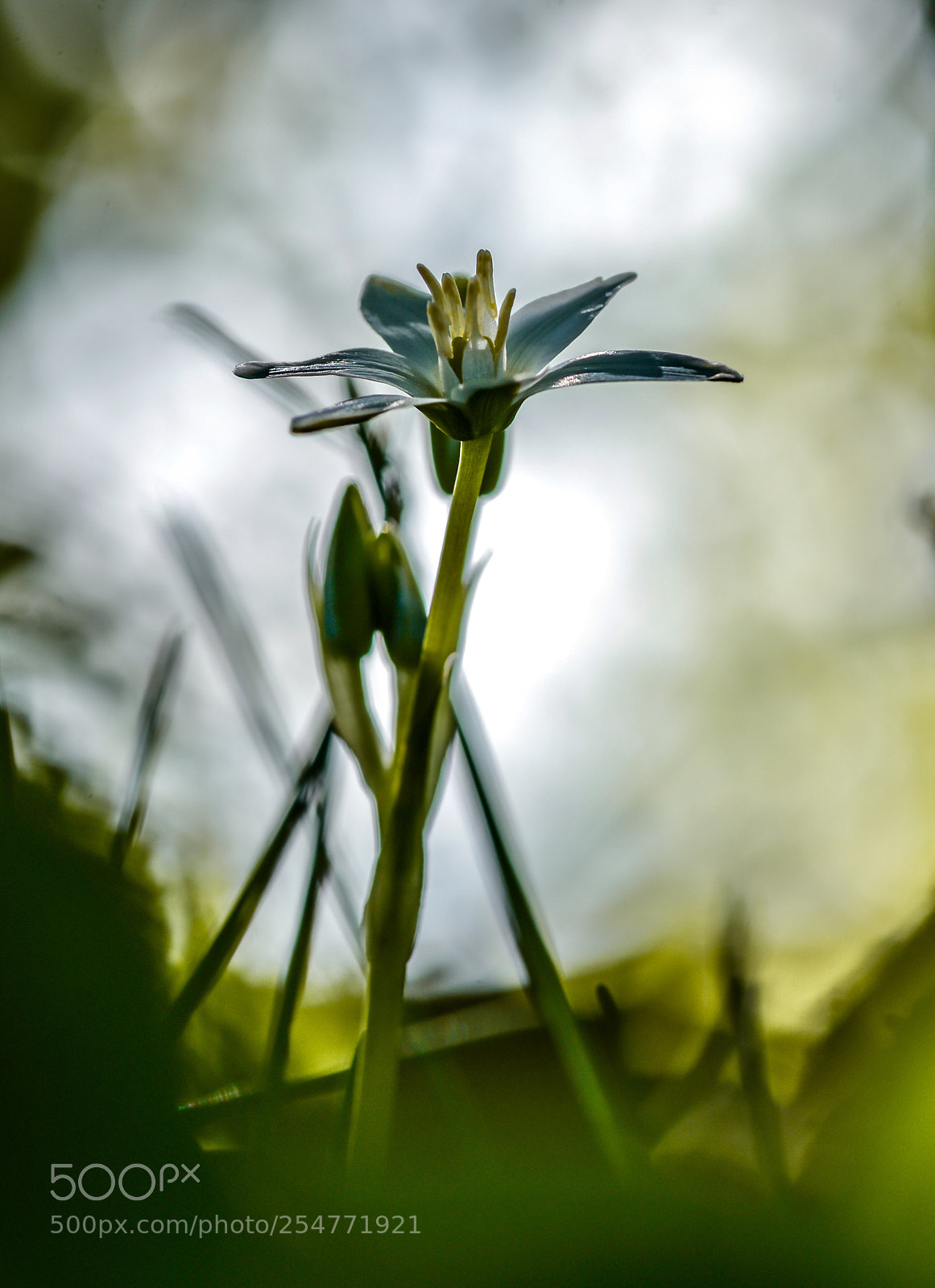 Nikon D800 sample photo. Untitled photography