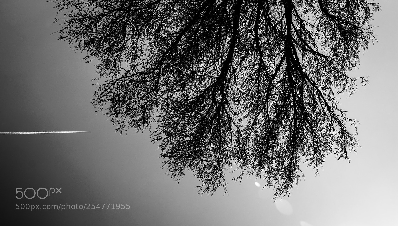 Nikon D5300 sample photo. Upside down photography