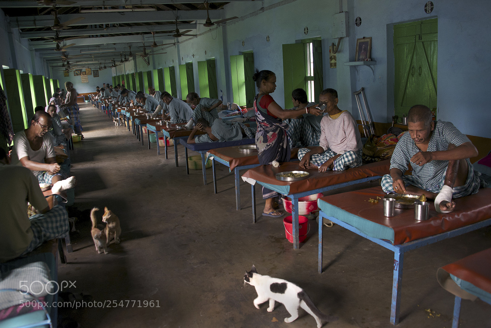 Nikon D800E sample photo. Mother teresa leper colony photography