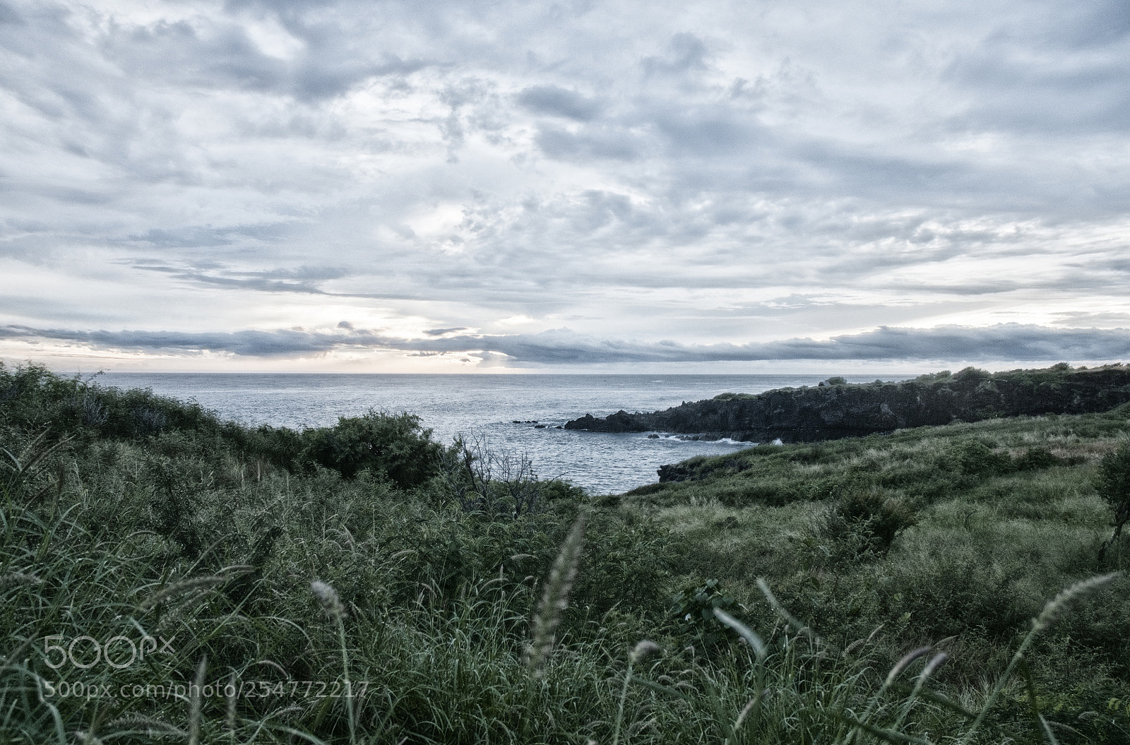 Nikon D300S sample photo. Somewhere between saint-gilles and photography
