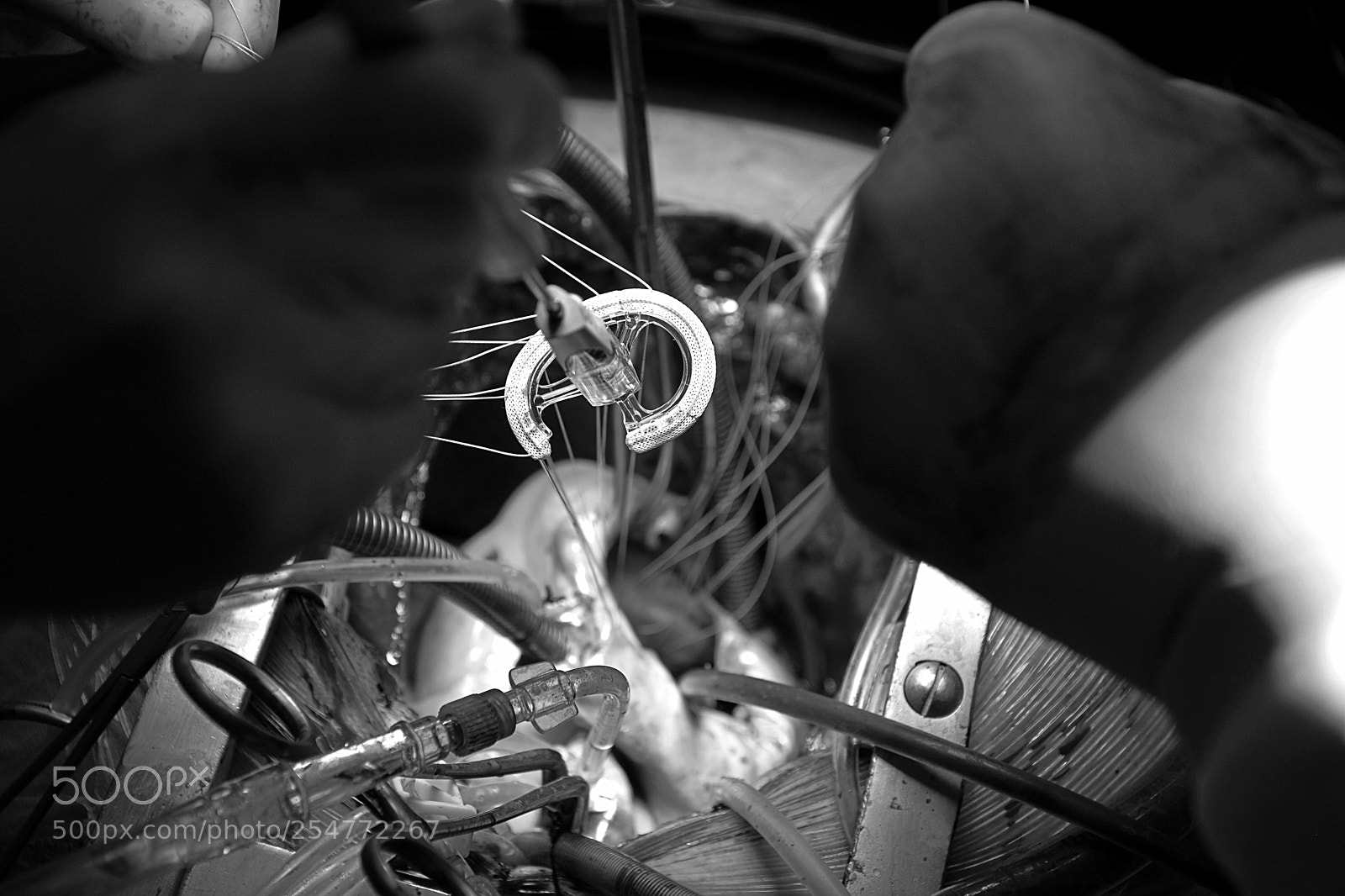 Nikon D7100 sample photo. Heart photography