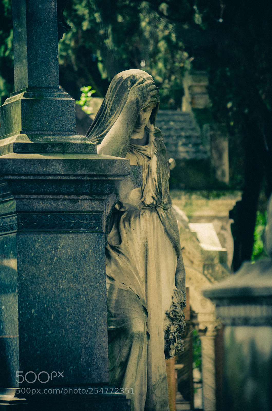 Nikon D5100 sample photo. Graveyard book photography