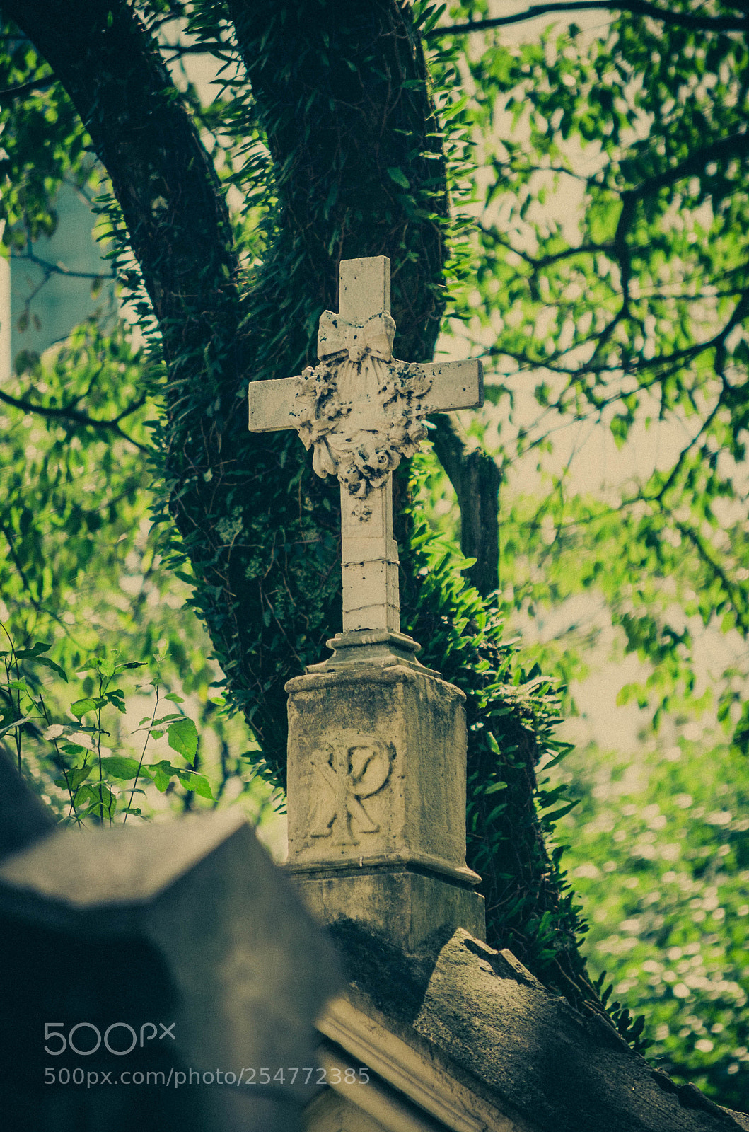 Nikon D5100 sample photo. Graveyard book photography