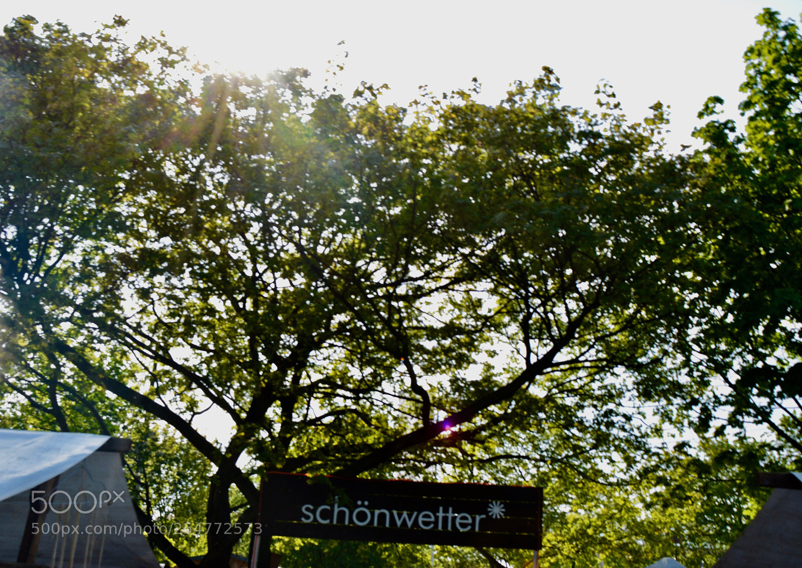 Nikon D5200 sample photo. Schönwetter- mauerpark photography