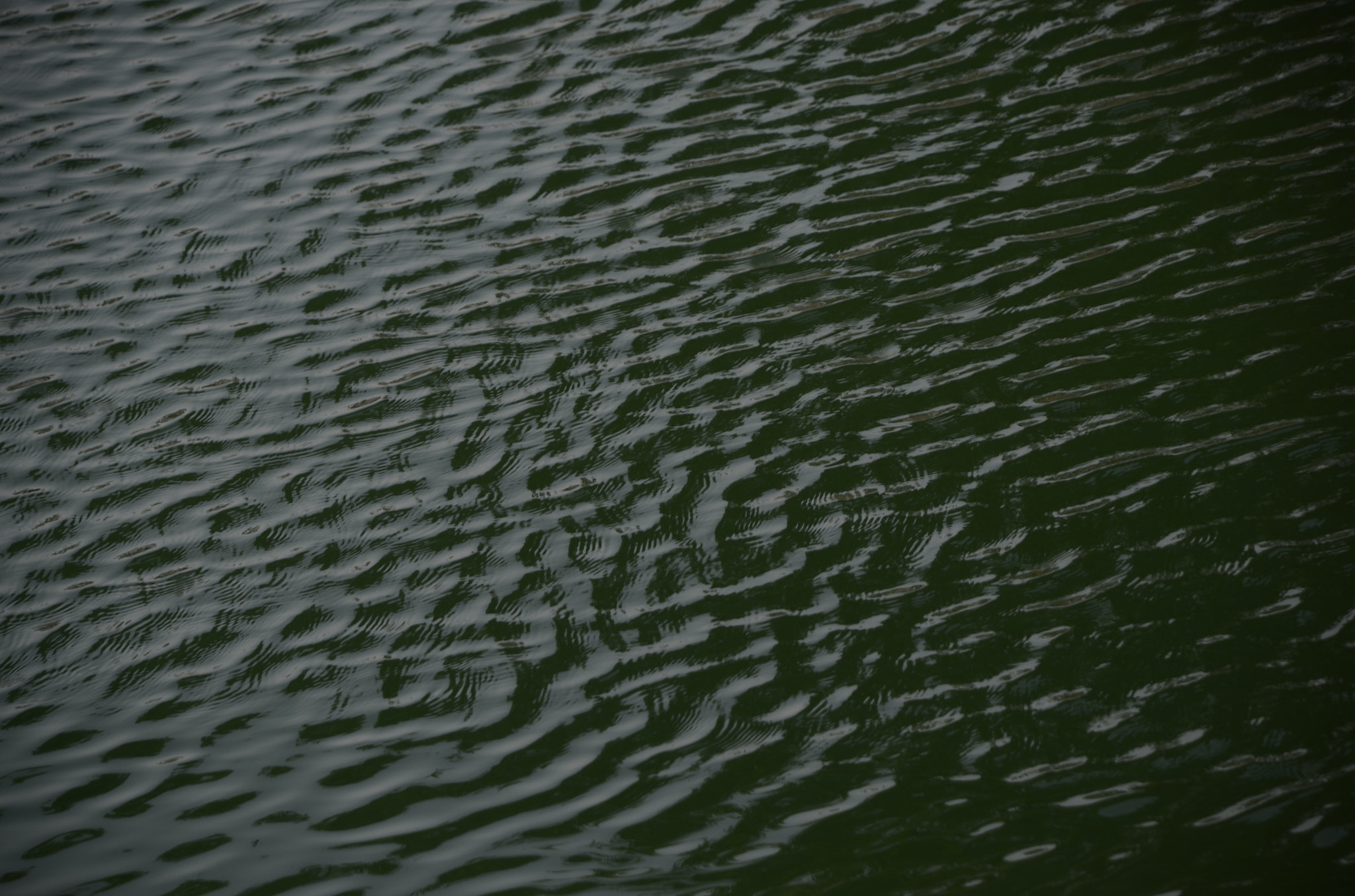 Nikon D7000 sample photo. Water photography