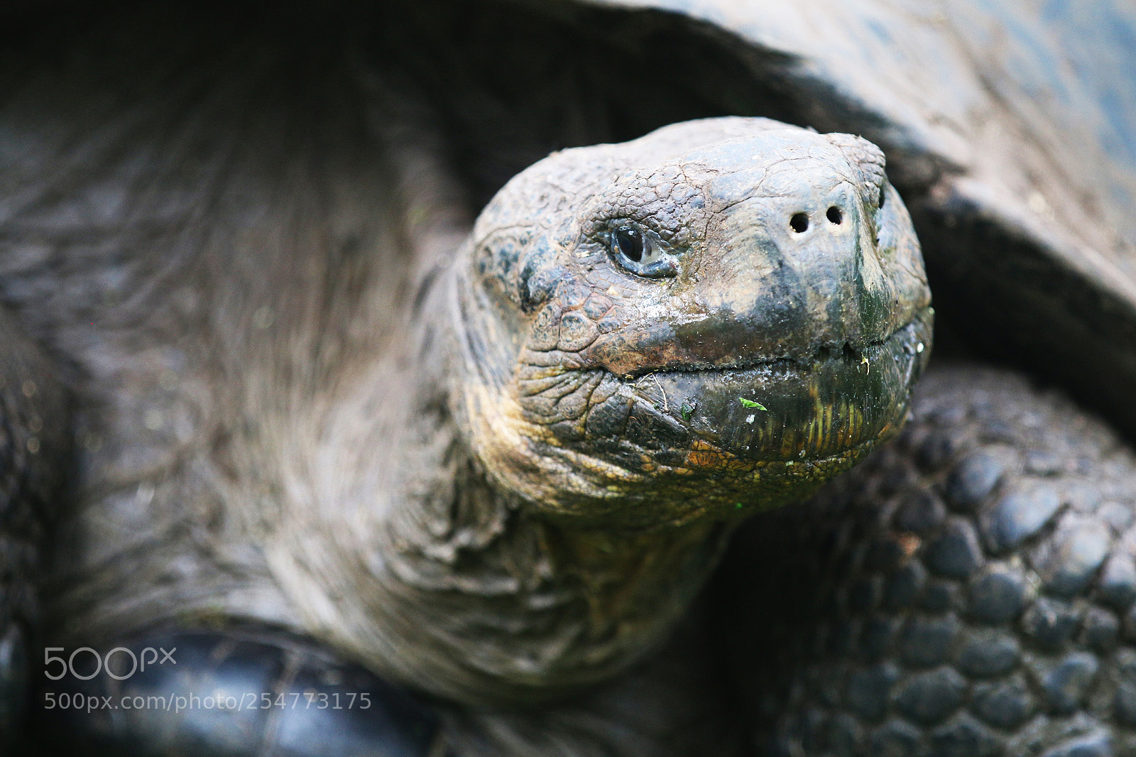 Canon EOS 70D sample photo. Img photography