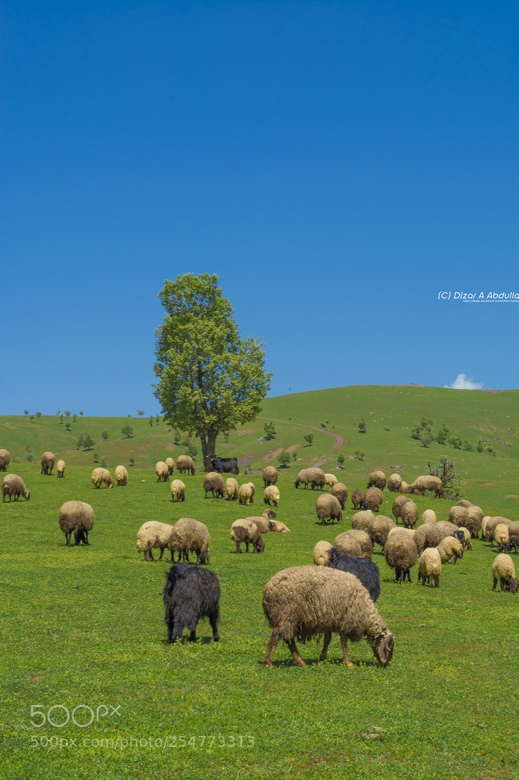 Nikon D7100 sample photo. Untitled photography
