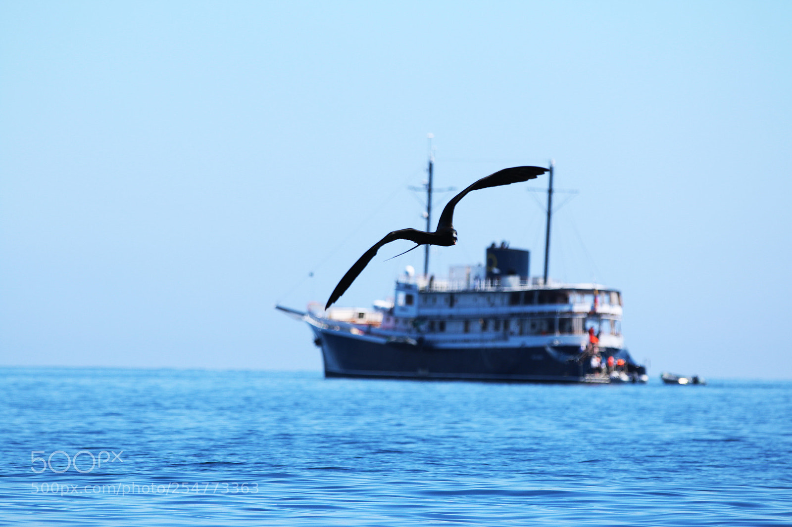 Canon EOS 70D sample photo. Img photography