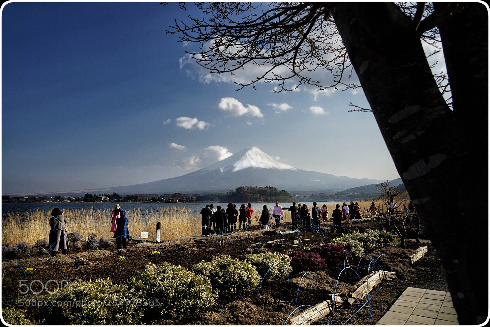 Sony a7 II sample photo. 日本富士山 photography