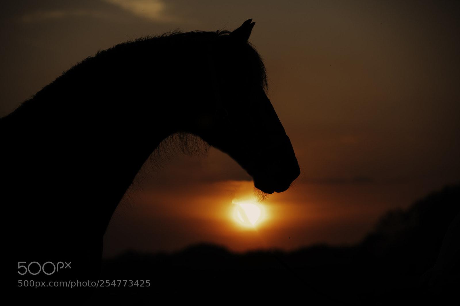 Canon EOS 5D Mark IV sample photo. 23 j hriger welsh photography