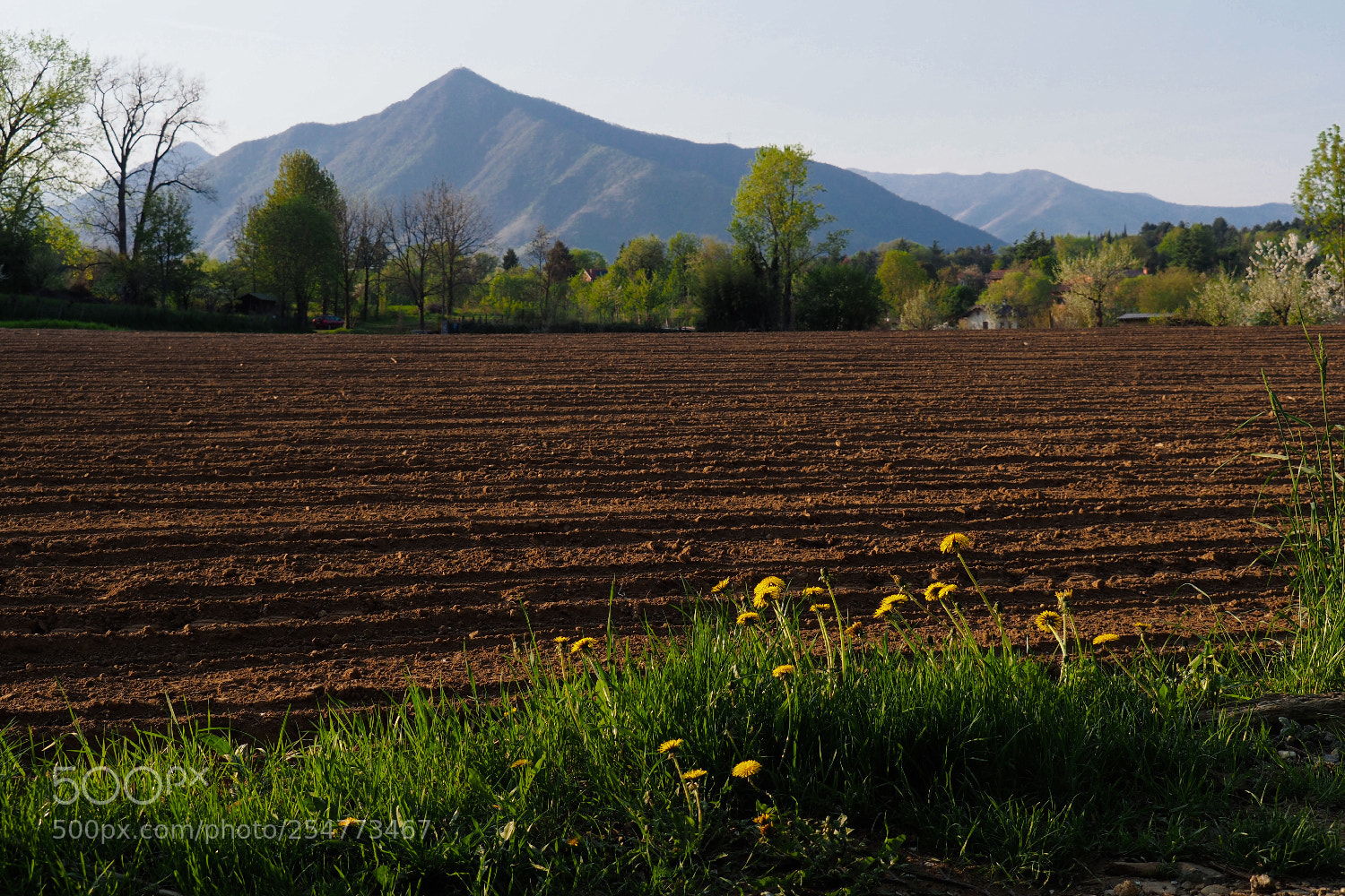 Olympus OM-D E-M10 II sample photo. Earth day 2018 photography