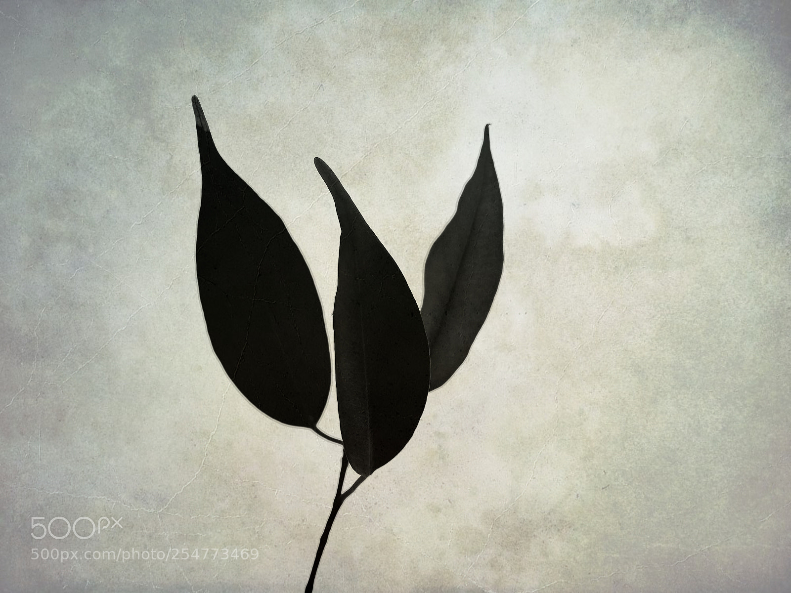 Nikon D610 sample photo. Three photography