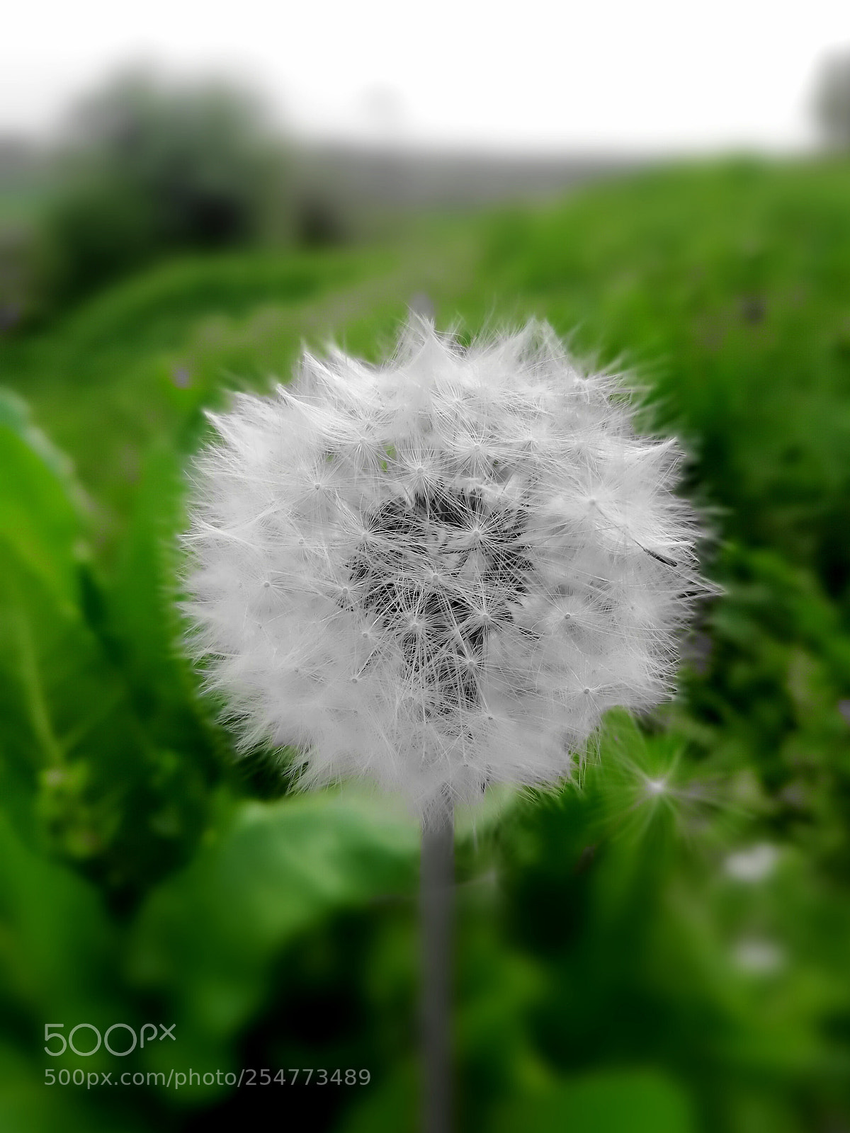 HUAWEI Mate 10 Lite sample photo. Untitled photography