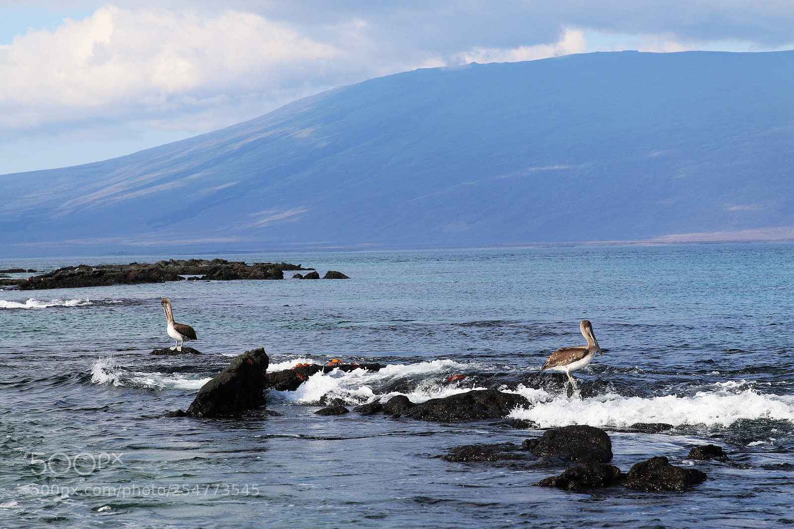Canon EOS 70D sample photo. Img photography