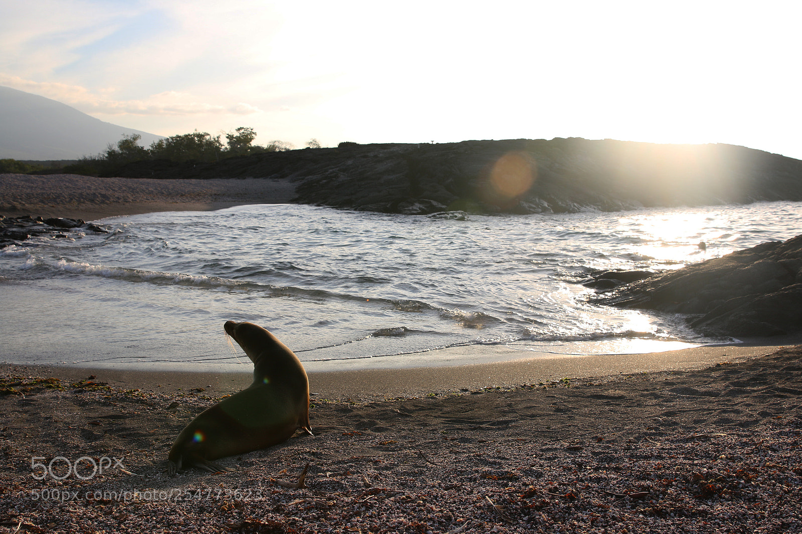 Canon EOS 70D sample photo. Img photography
