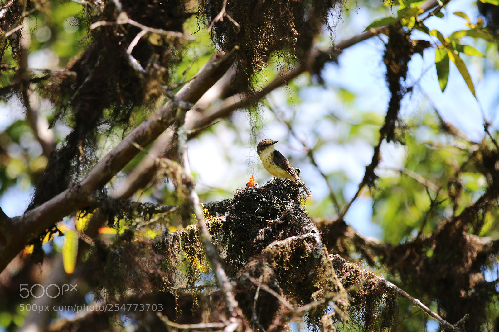Canon EOS 70D sample photo. Img photography