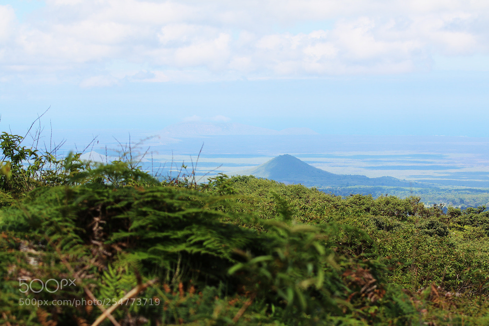 Canon EOS 70D sample photo. Img photography