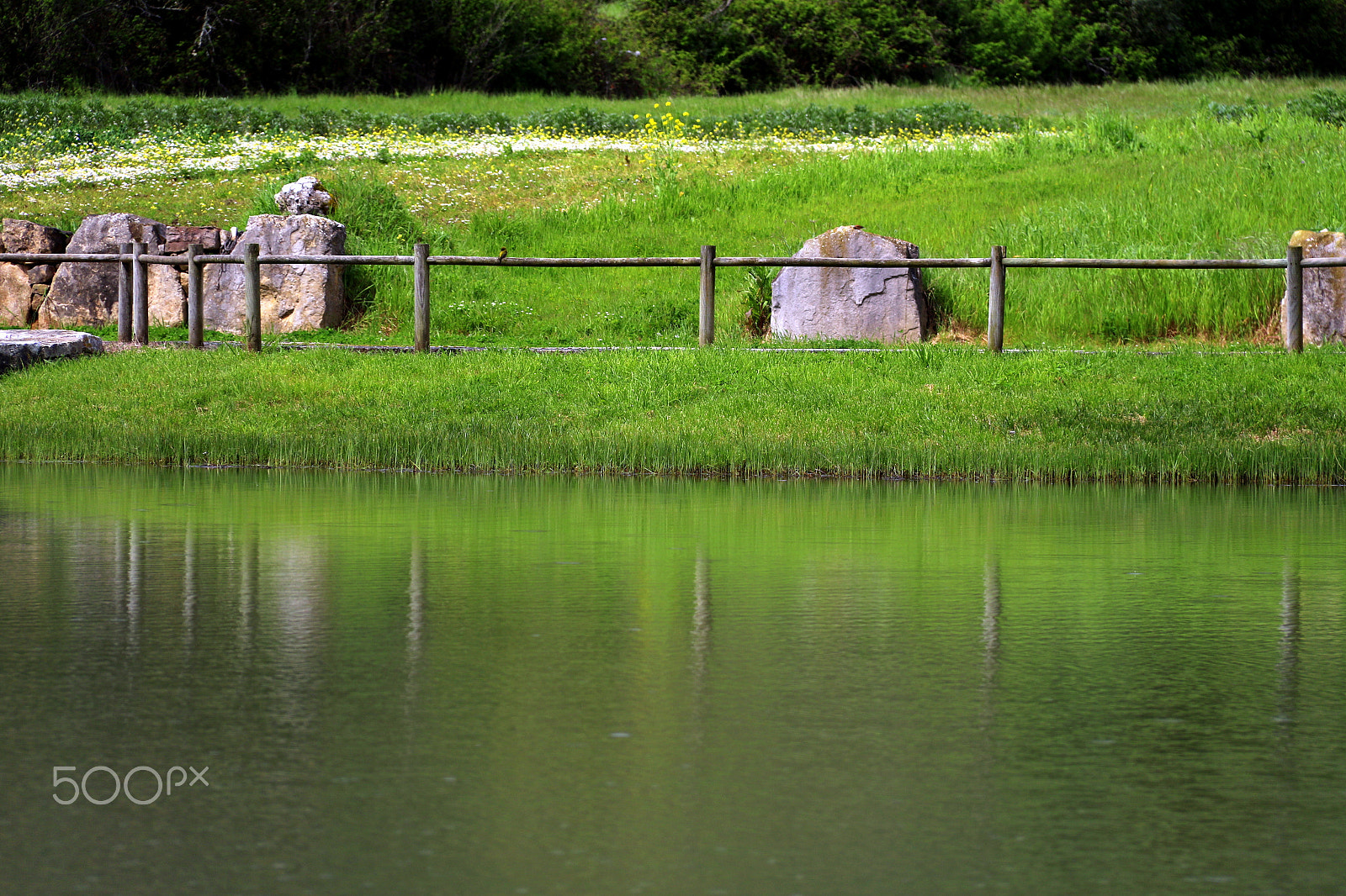Canon EF-S 18-200mm F3.5-5.6 IS sample photo. Reflections photography