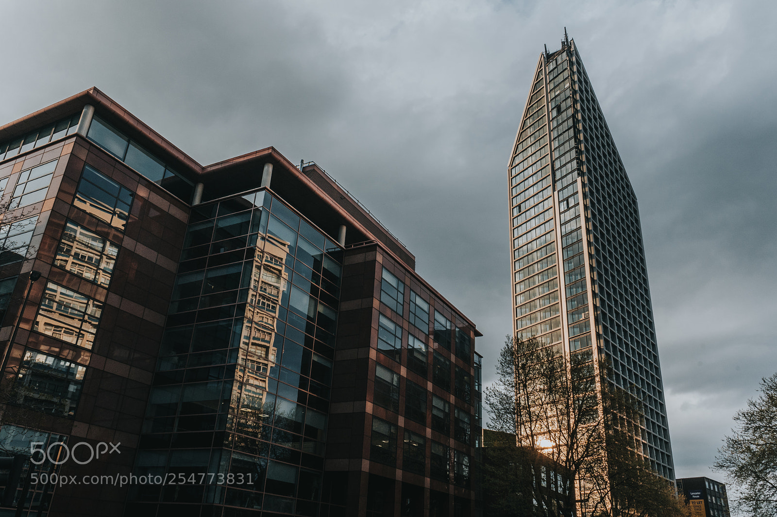 Sony a7 III sample photo. Transformer photography