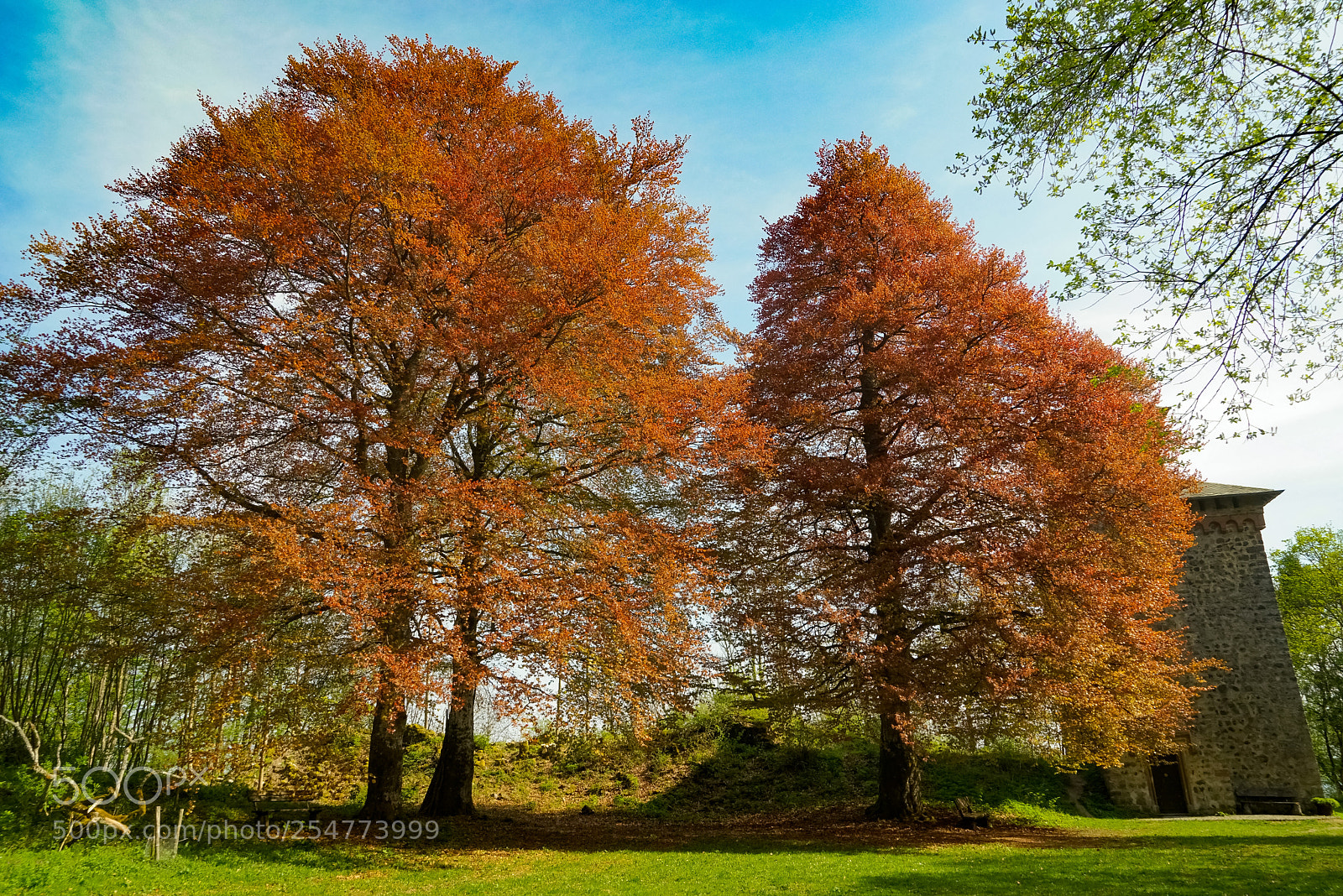 Sony a7R sample photo. Aremberg photography