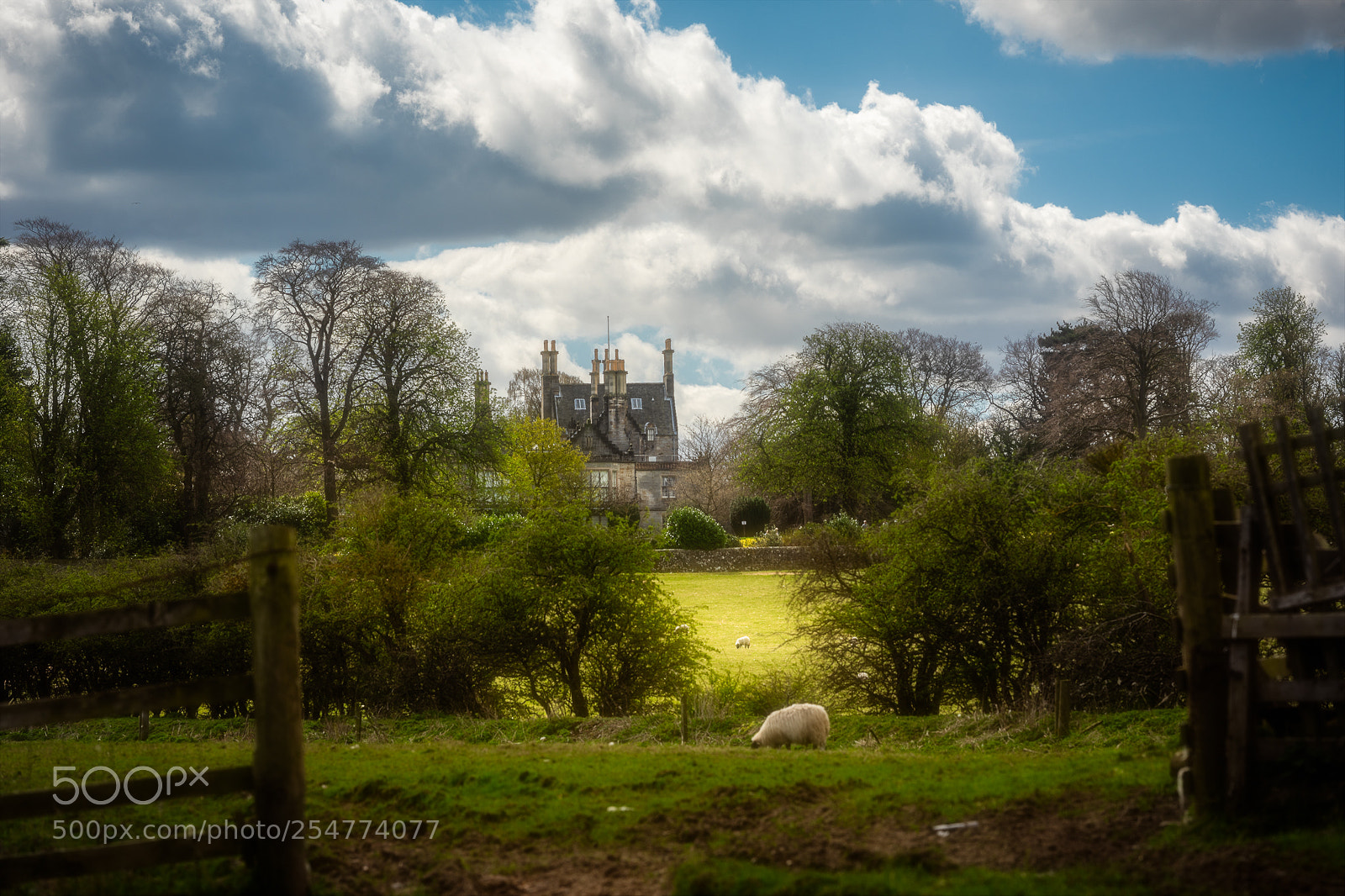 Nikon D810 sample photo. Estate photography