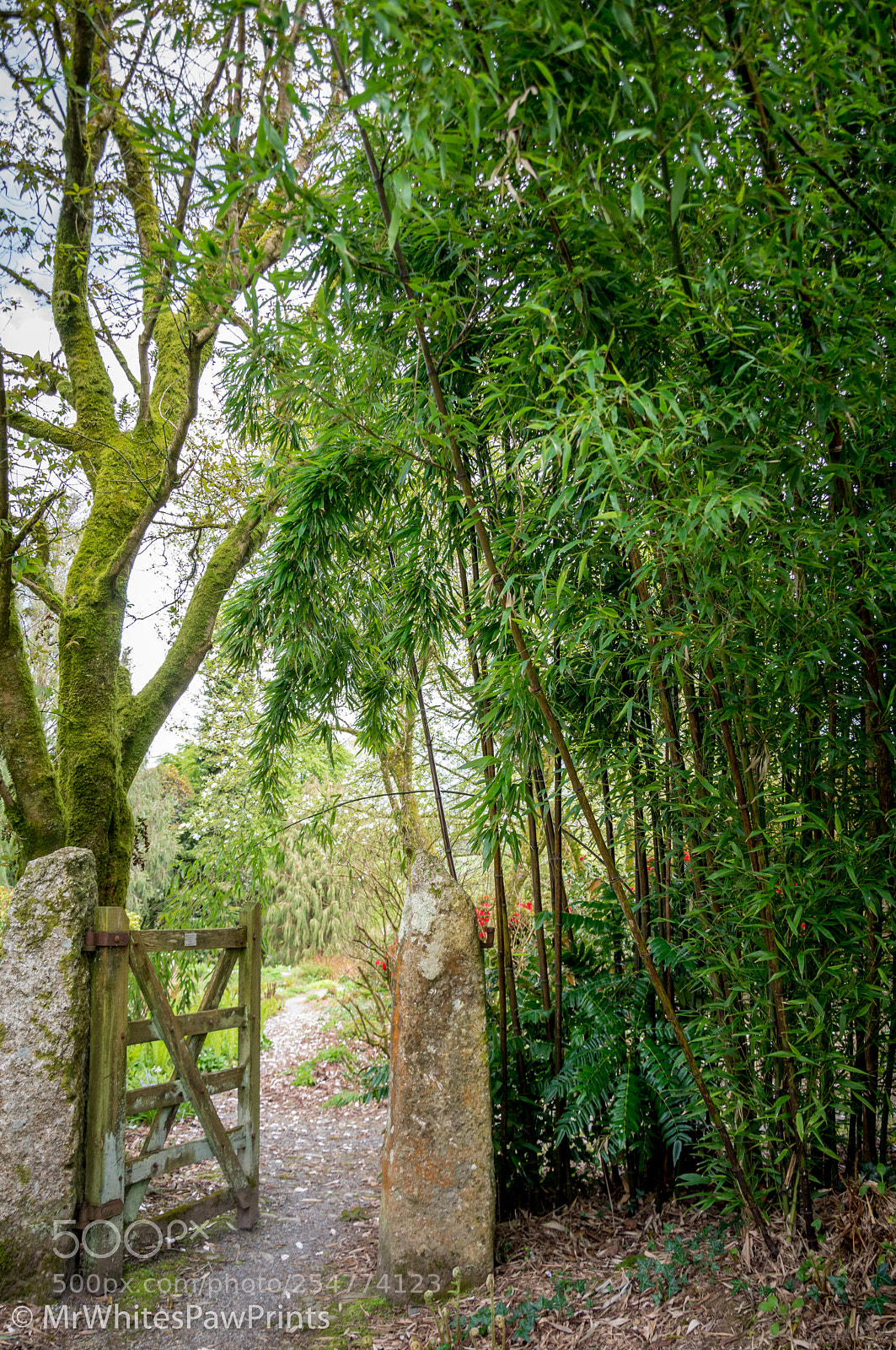Nikon D7100 sample photo. The garden house, devon photography