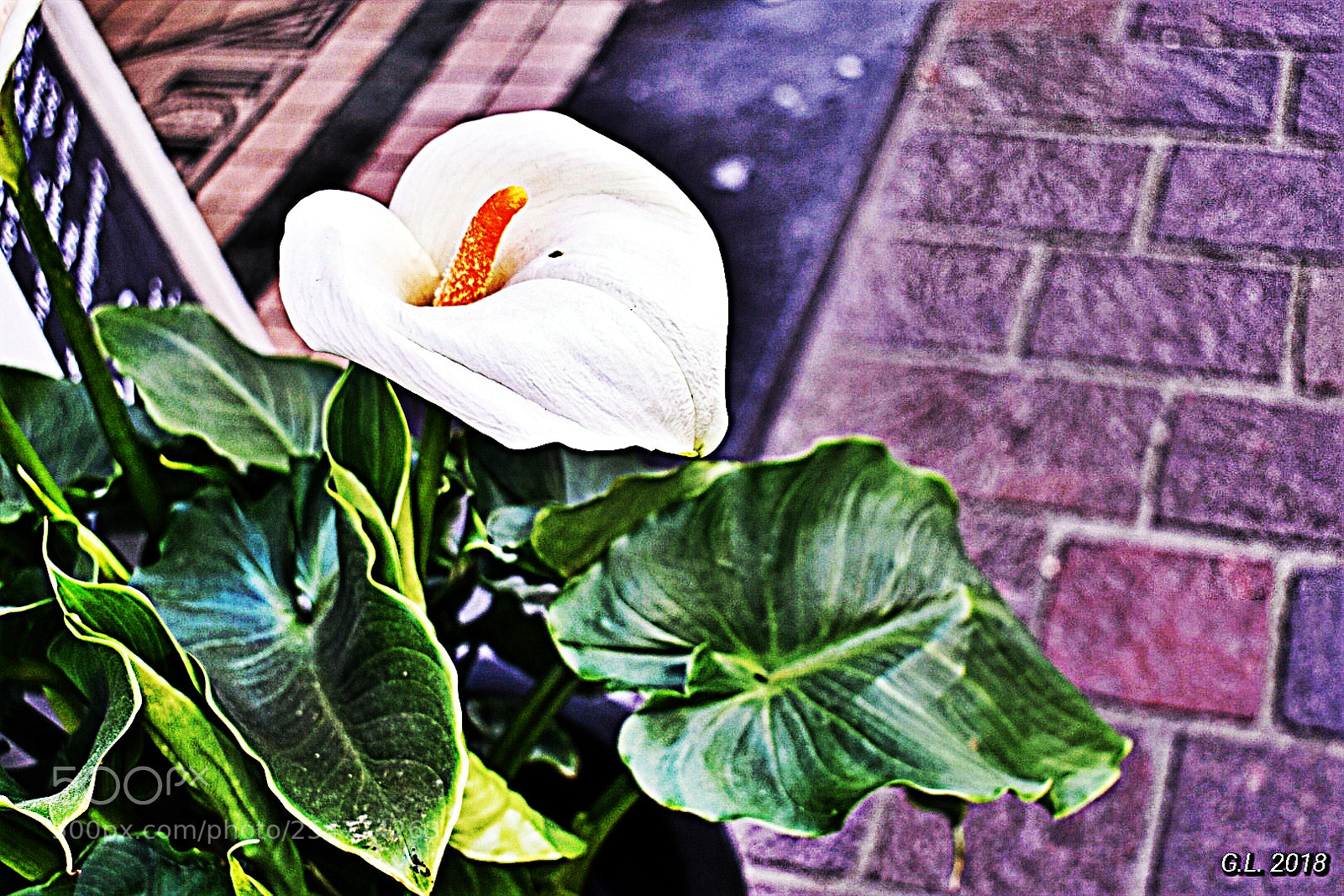 Nikon D3400 sample photo. Untitled photography