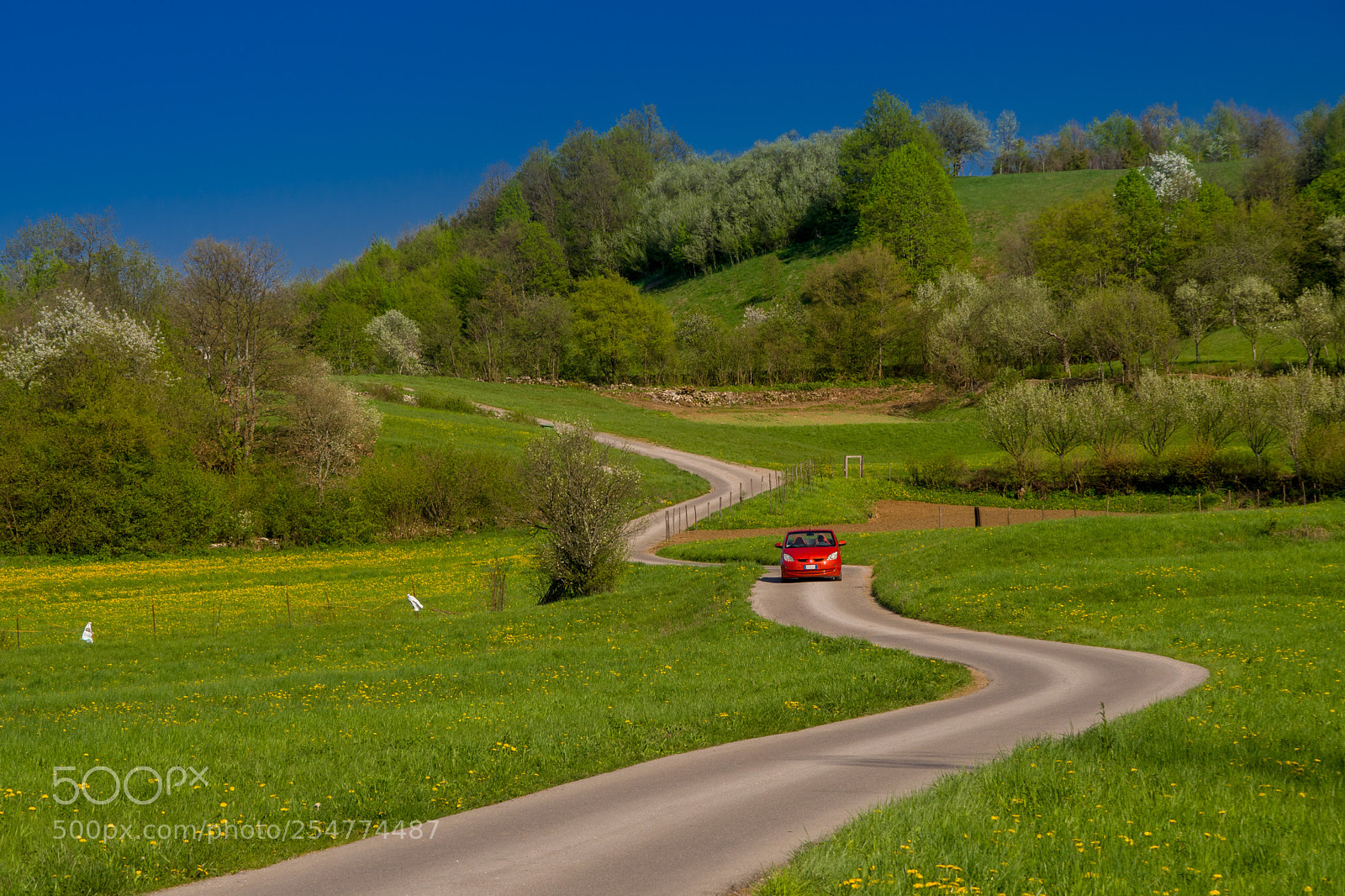 Olympus OM-D E-M10 sample photo. Country road photography