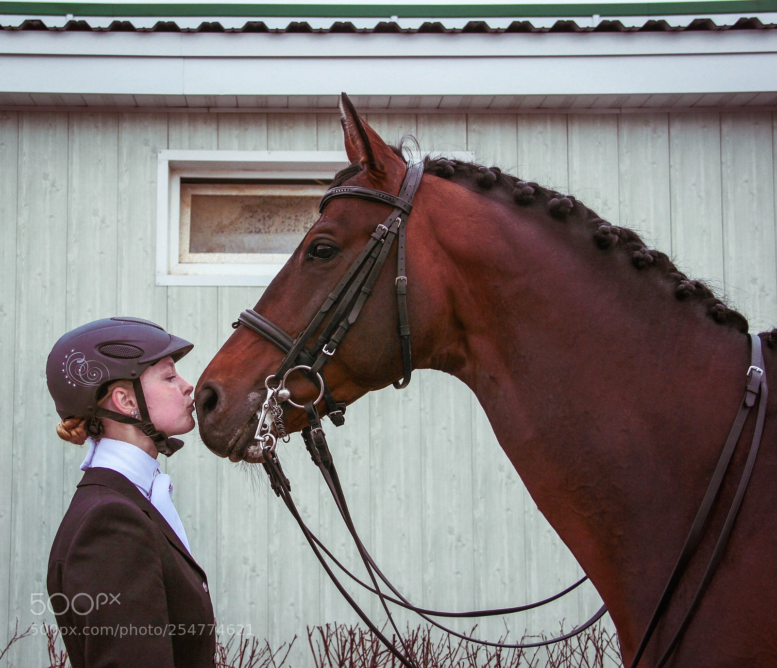 Canon EOS 550D (EOS Rebel T2i / EOS Kiss X4) sample photo. Dressage photography