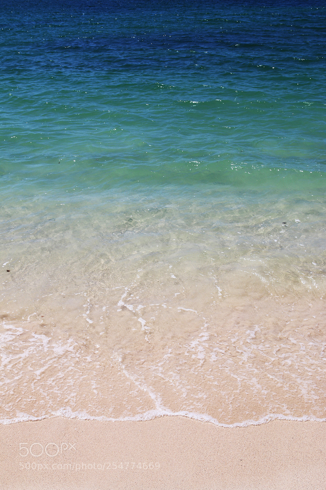 Canon EOS 70D sample photo. Img photography