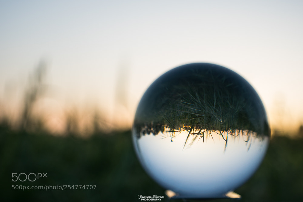 Nikon D5300 sample photo. 22 aprile, earth day 2018 photography