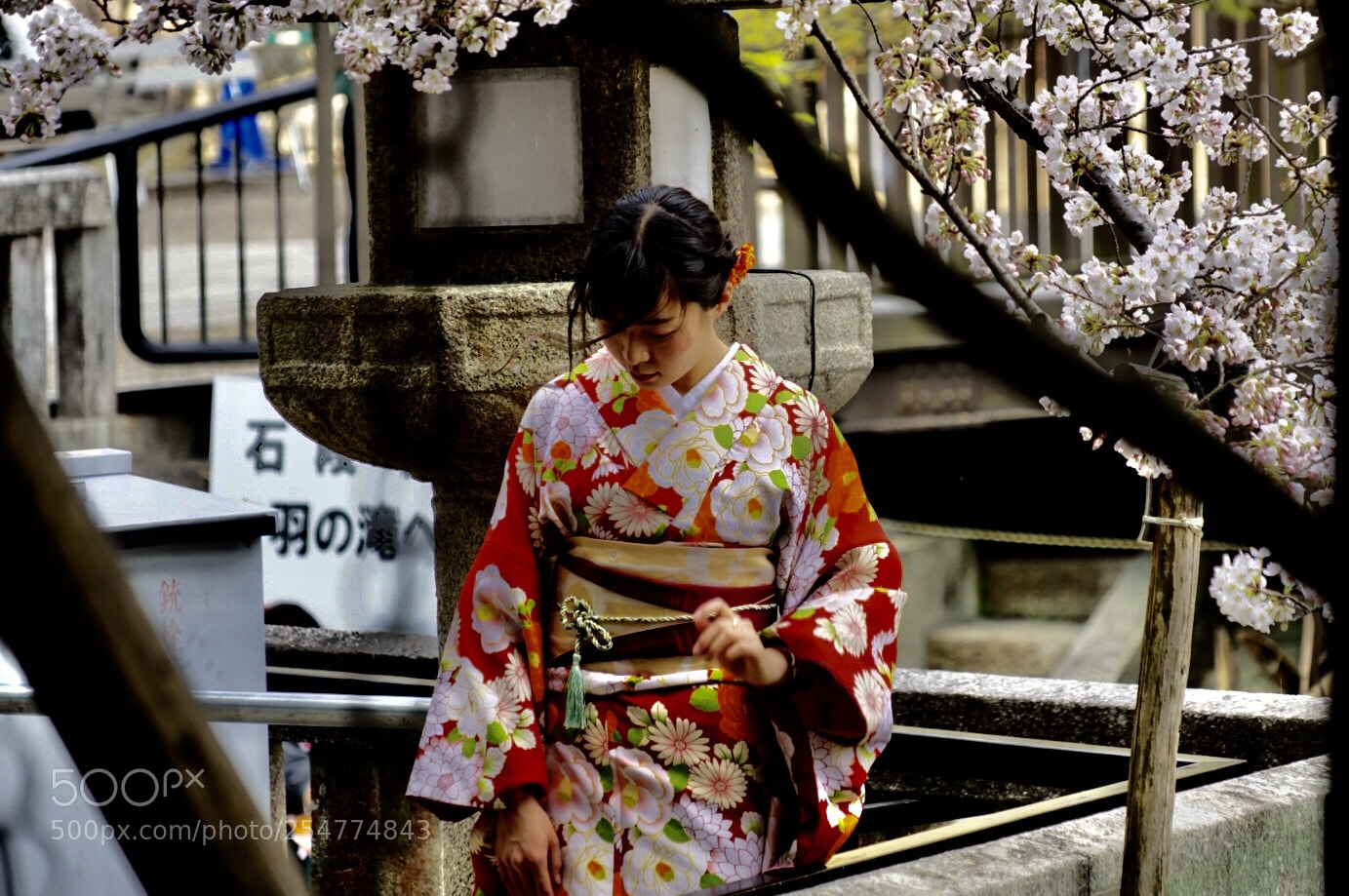 Sony a7 II sample photo. 妞妞 photography