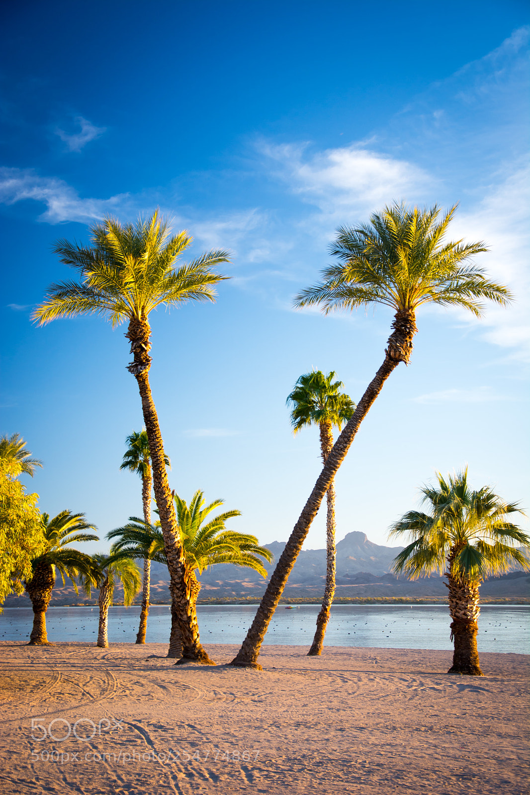 Nikon D7100 sample photo. Paradise photography