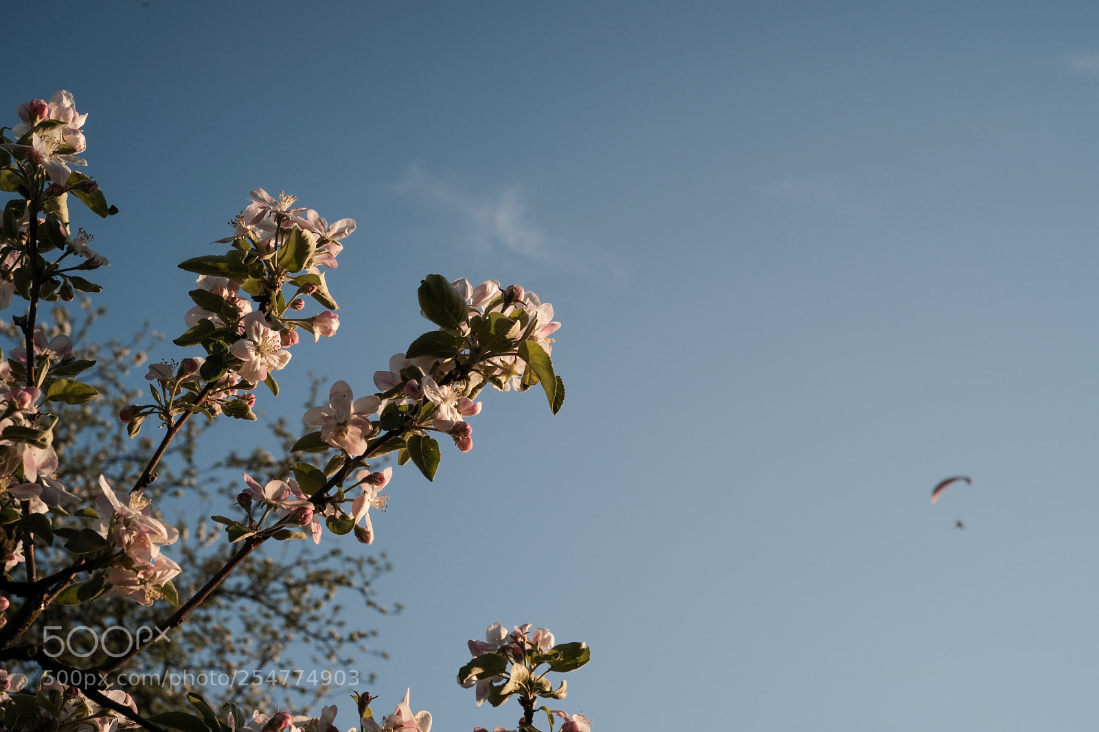Fujifilm X-T2 sample photo. Untitled photography