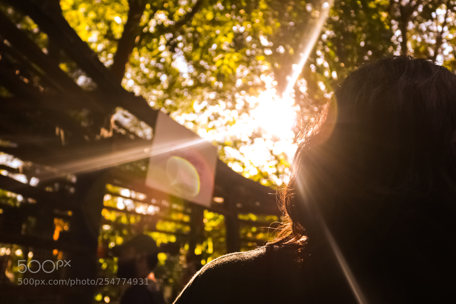 Canon EOS 750D (EOS Rebel T6i / EOS Kiss X8i) sample photo. Luz photography