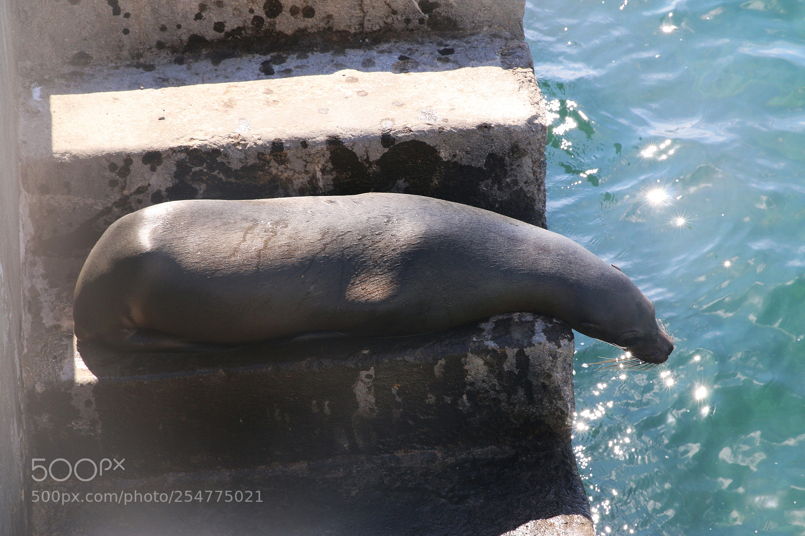 Canon EOS 70D sample photo. Img photography