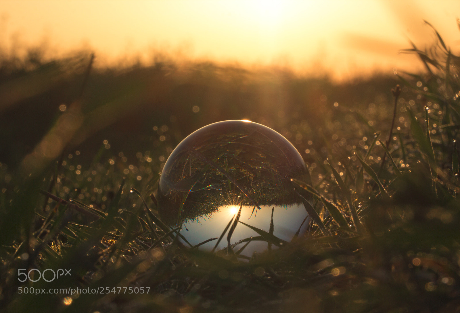 Canon EOS 600D (Rebel EOS T3i / EOS Kiss X5) sample photo. Glass ball on the photography