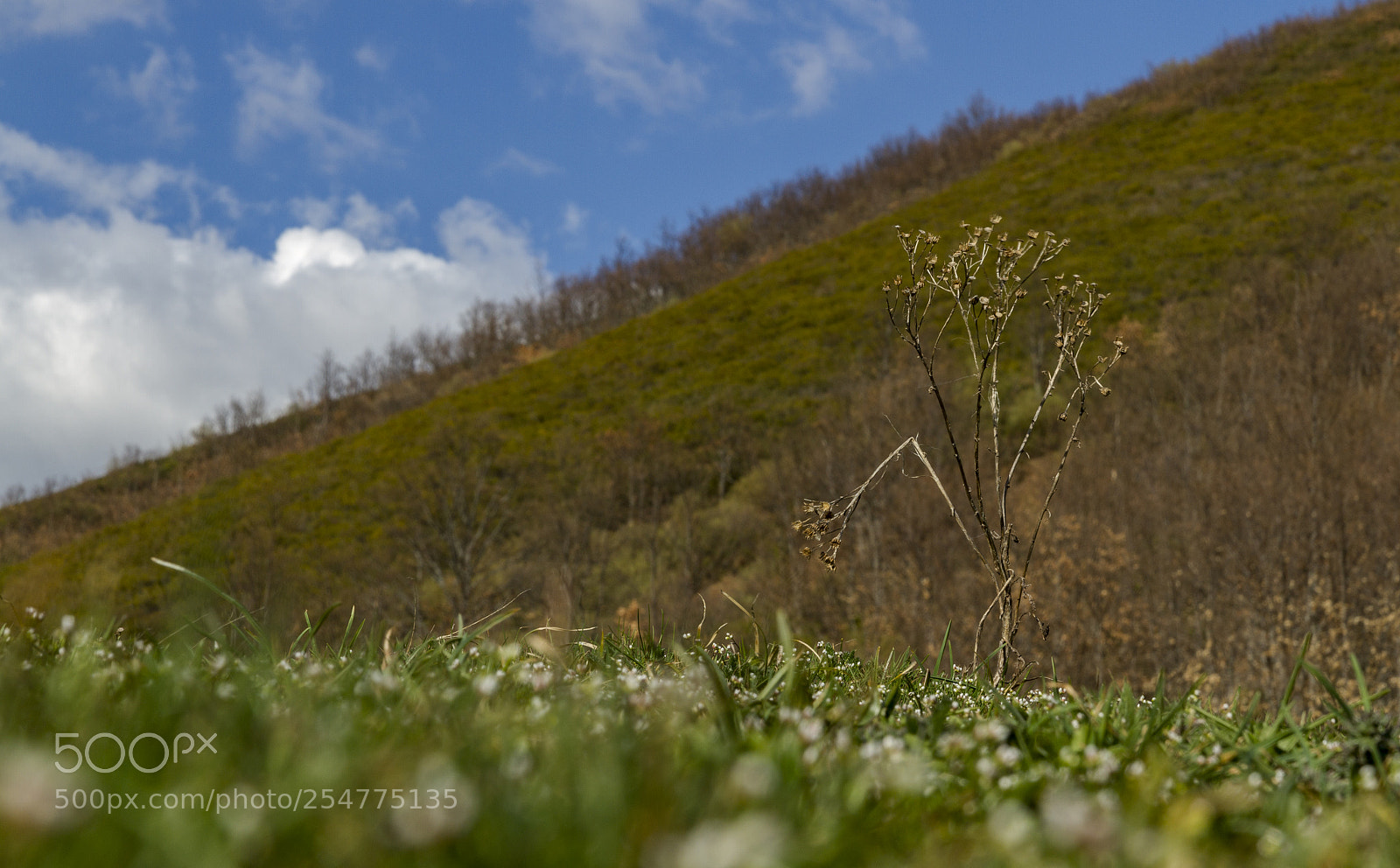 Canon EOS 7D sample photo. Sobresaliente. photography