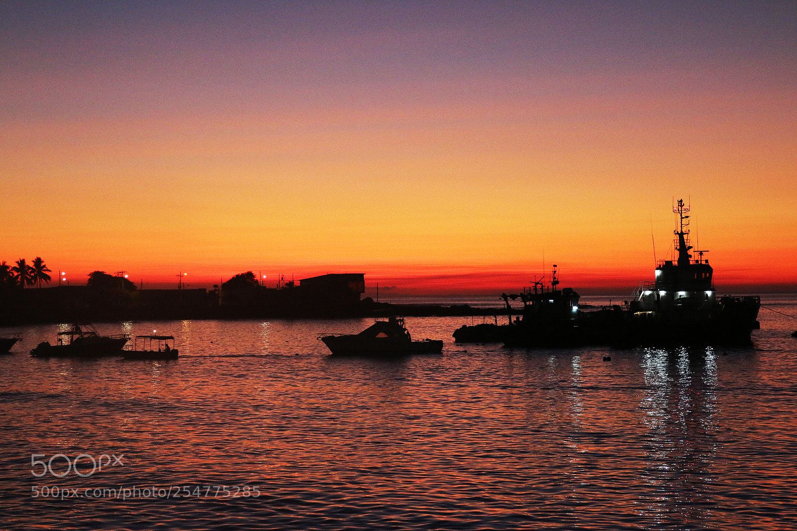 Canon EOS 70D sample photo. Img photography